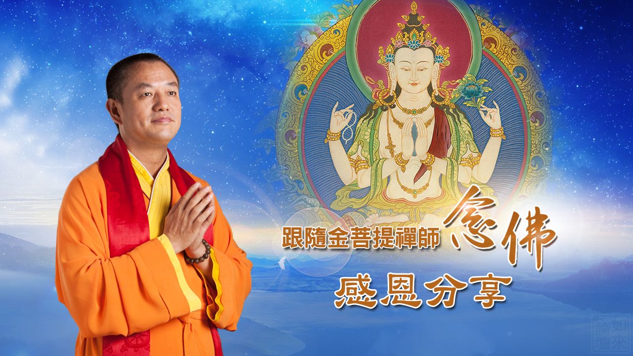 金菩提|金菩提宗師|直播預告